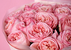 Купить Букет из 15 пионовидных розовых роз 50 см Pink Expression в  с бесплатной доставкой: цена, фото, описание